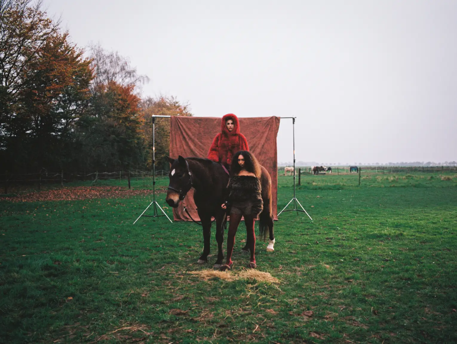 Behind the Scenes: Pferd vor rotem Tuch am Set